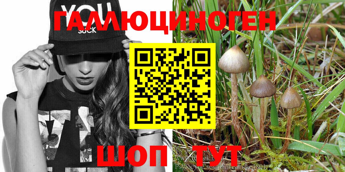 Удомля  Галлюциногенные грибы MAGIC MUSHROOMS  Вход с VPN 